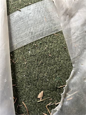 Carpet Roll, Never unrolled