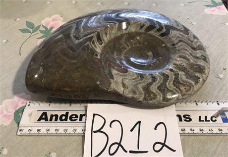 Fossil (#1)