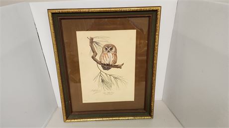 Framed Owl Picture