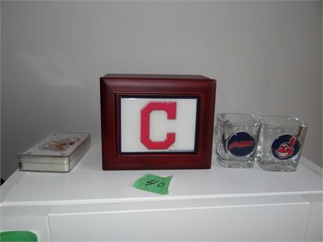 Indians Shot Glasses