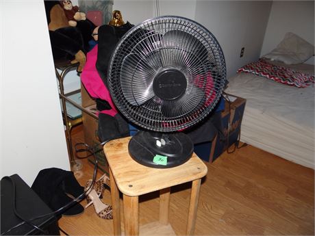 Fan