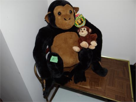 Chimpanzee