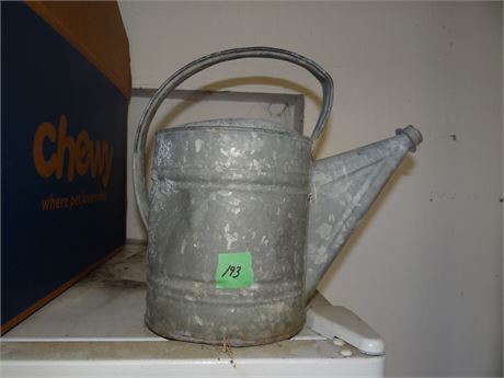 Galvanized Water Can