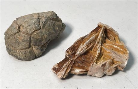 2 Rocks (#1)
