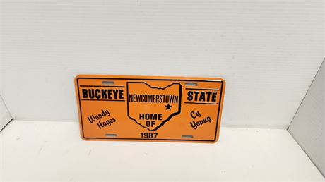 Decorative Ohio License Plate