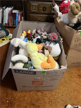 Stuffed Animals