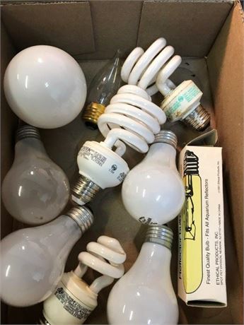 Flat of Misc. Light Bulbs