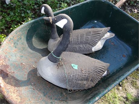 Goose Decoys