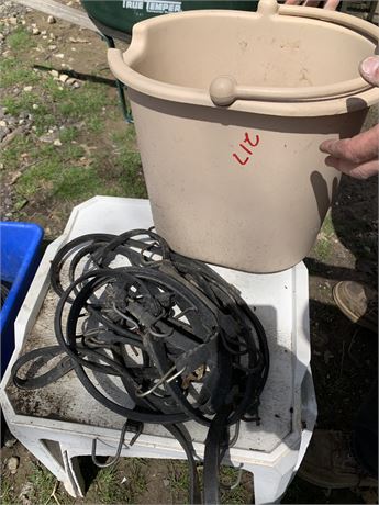 Bungee Chord Lot A Bucket Full of Various Sizes Bungee Chord
