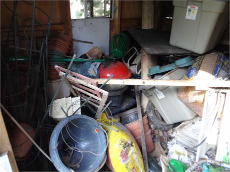 Shed Cleanout