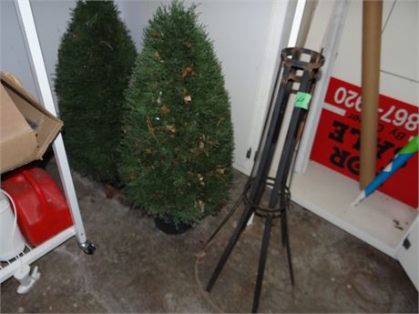 Christmas Trees