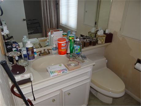 Bathroom Clean Out