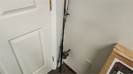 Fishing Pole & Reel