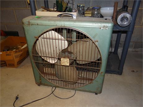 Fan