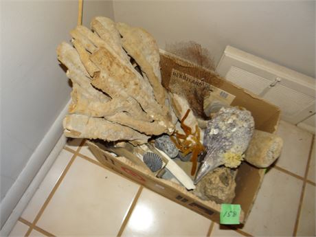 Rocks, Driftwood, Ect