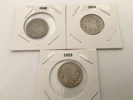 1920, 1920, 1923 Buffalo Nickels