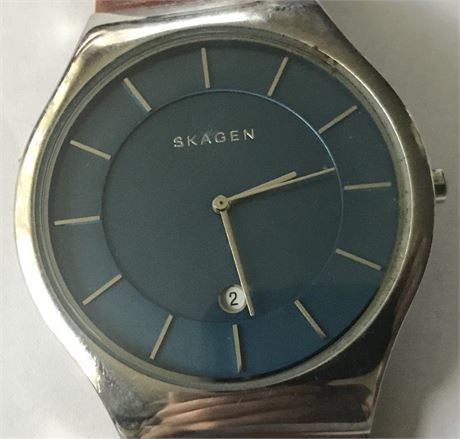 Skagen Watch