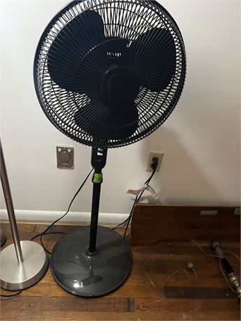 Fan