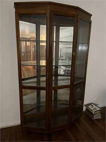 Beautiful Wood and Glass Lighted Cabinet