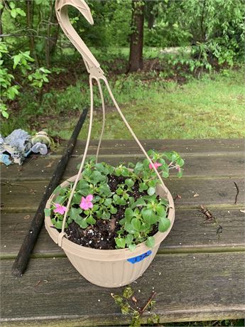 Light Brown Plastic Flowering Hanging Basket - FLOWERS INCLUDED