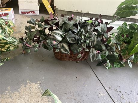 Silk Floral Arrangement
