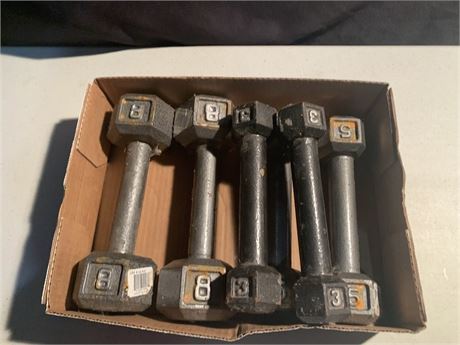 Set Of 6 Metal Bar Exercise Weights Different In 3 5 and 8 Pounds