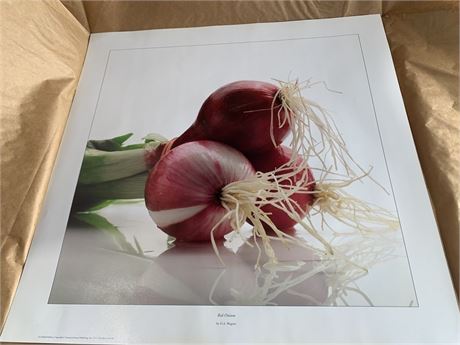 Red Onions Wall Art Print By Artist D.A Wagner From 2012