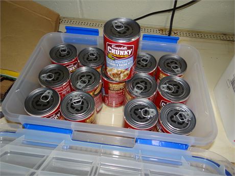 Food with container