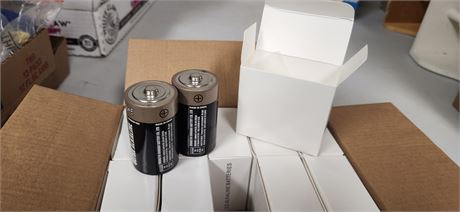 Case of 20 D batteries