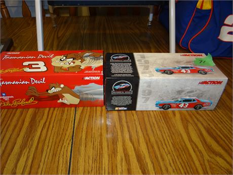 2 Nascar Cars