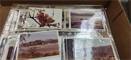 Vintage photo albulm