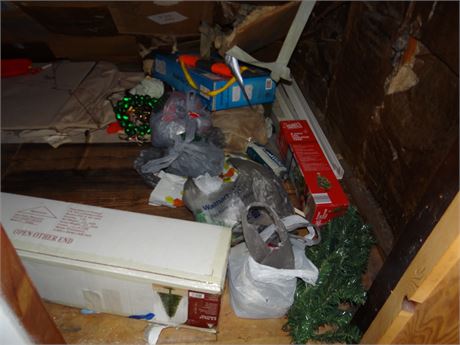 Crawl Space Clean Out