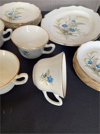 1950s Taylor Smith Versatile Goldenrod Bluebell Vintage China Set MCM