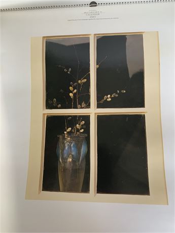 Linda McCartney's Art Calendar By MPL London UK For Lynx Anti-Fur Campaign 1989