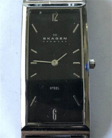 Skagen Denmark Steel Watch