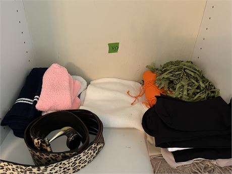 Scarves, Spanx, Belt, Socks