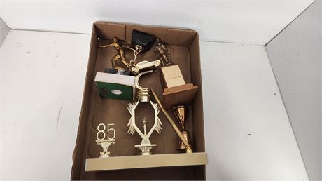 Lot Of Trophies