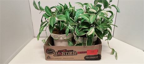 Fake Plants