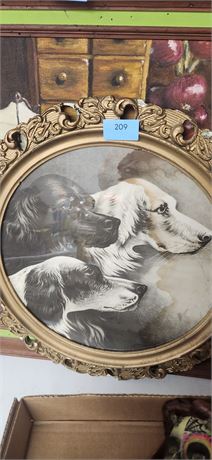 Round dog picture