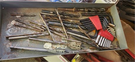 Lot of Drill Bits and Allen Wrenches
