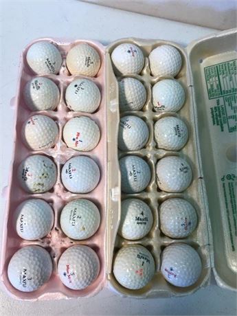 2 Dozen Maxifli Golf Balls
