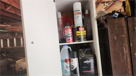 Garage Cabinet Chemical & Miscellaneous Cleanout. Cabinet Included