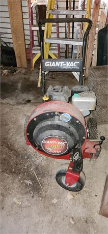 Yard Vacuum