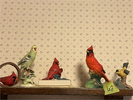 Bird Decor