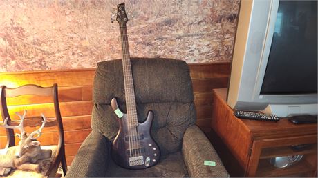 Ibanez Ergodyne Guitar