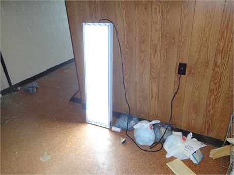 Bright Light- Possibly Grow Light