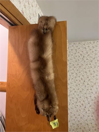 Animal Fur