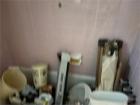 Bathroom Lot