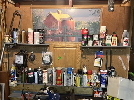 Shelf Lot