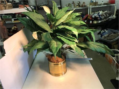 Fake Plant